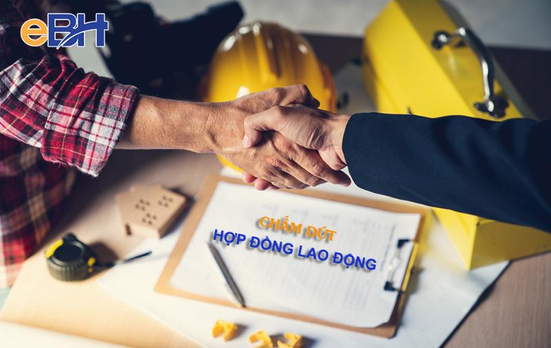 Bang tong hop cac loi ich chinh mang lai tu viec su dung vit tu khoan